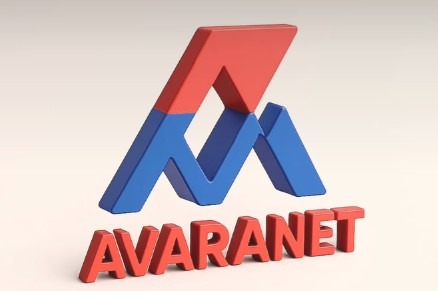 Avara Net